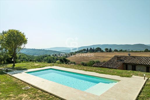 Panicale (Perugia) photo 3