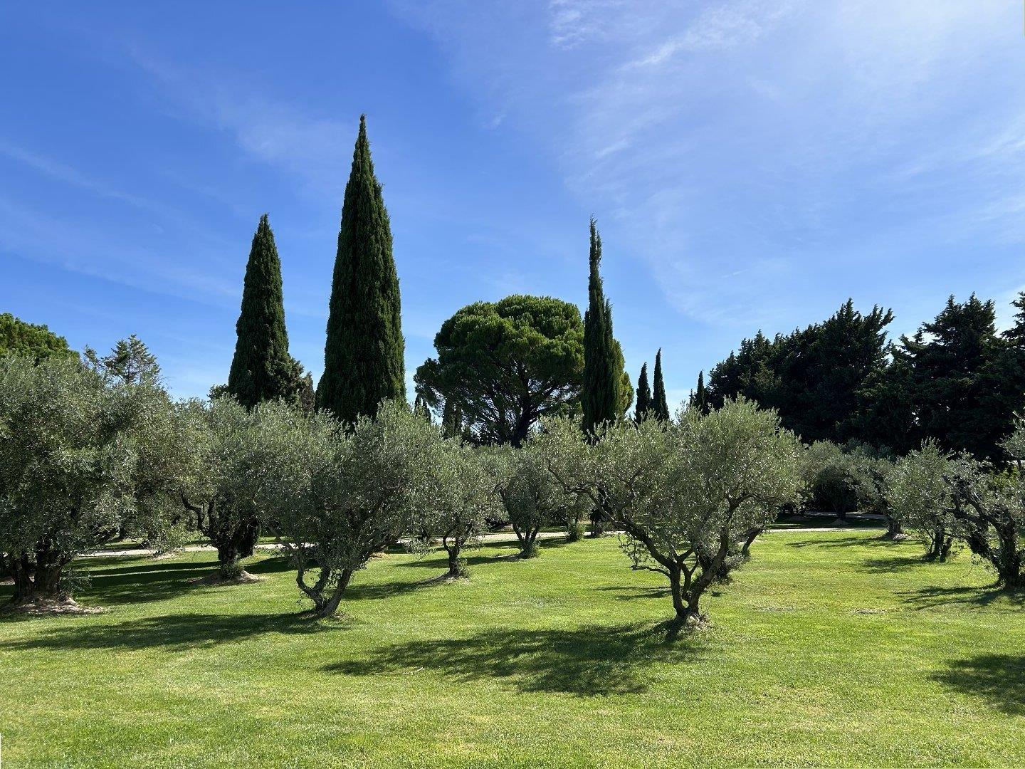 Maison à vendre, 250m², Rognonas