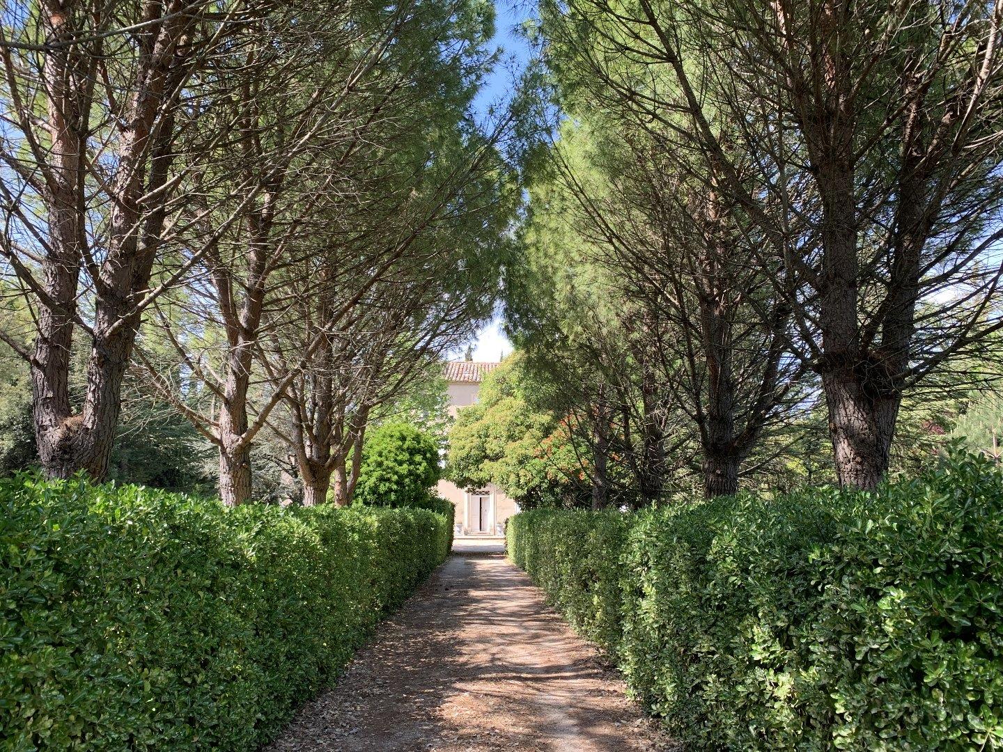 Maison à vendre, 500m², Avignon