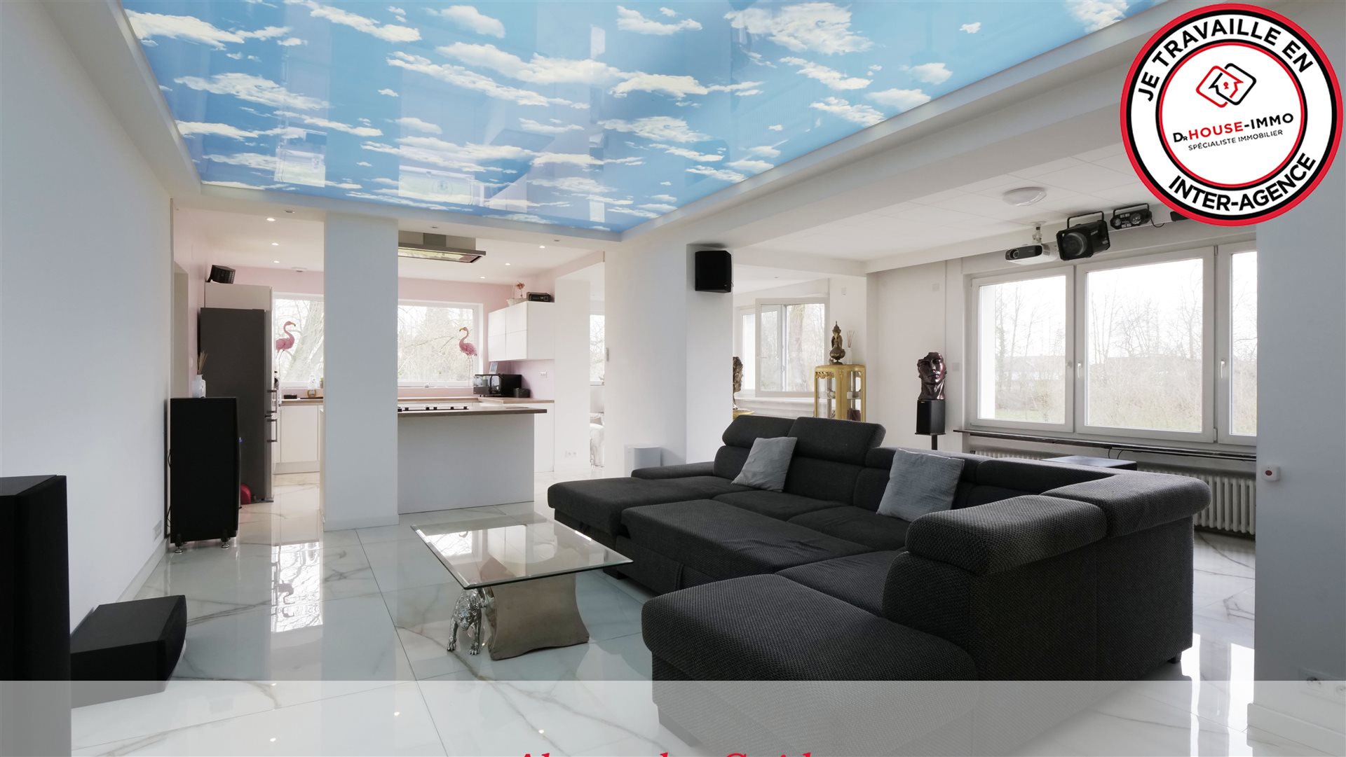Maison à vendre, 273m², Sarralbe