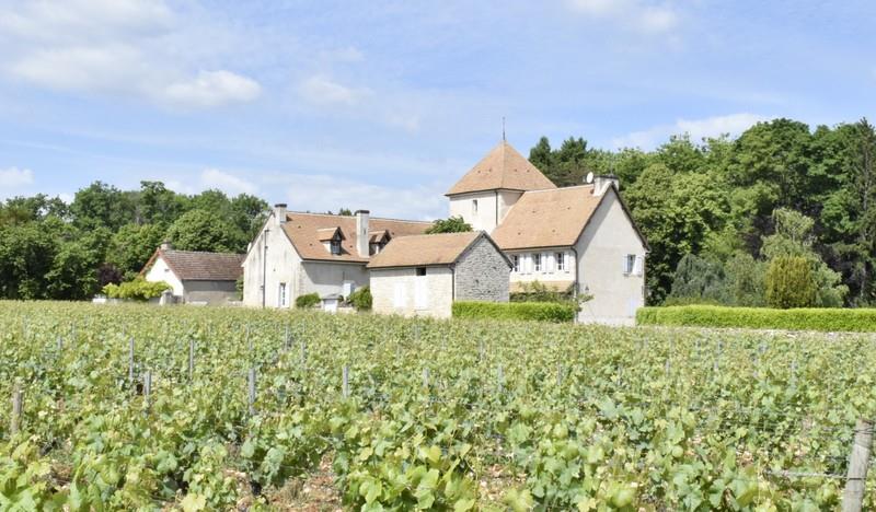 Maison à vendre, 360m², Mercurey