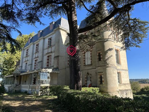Maison 10 pièces 563 m² · à Cintegabelle · 563 m² · 650 000 €