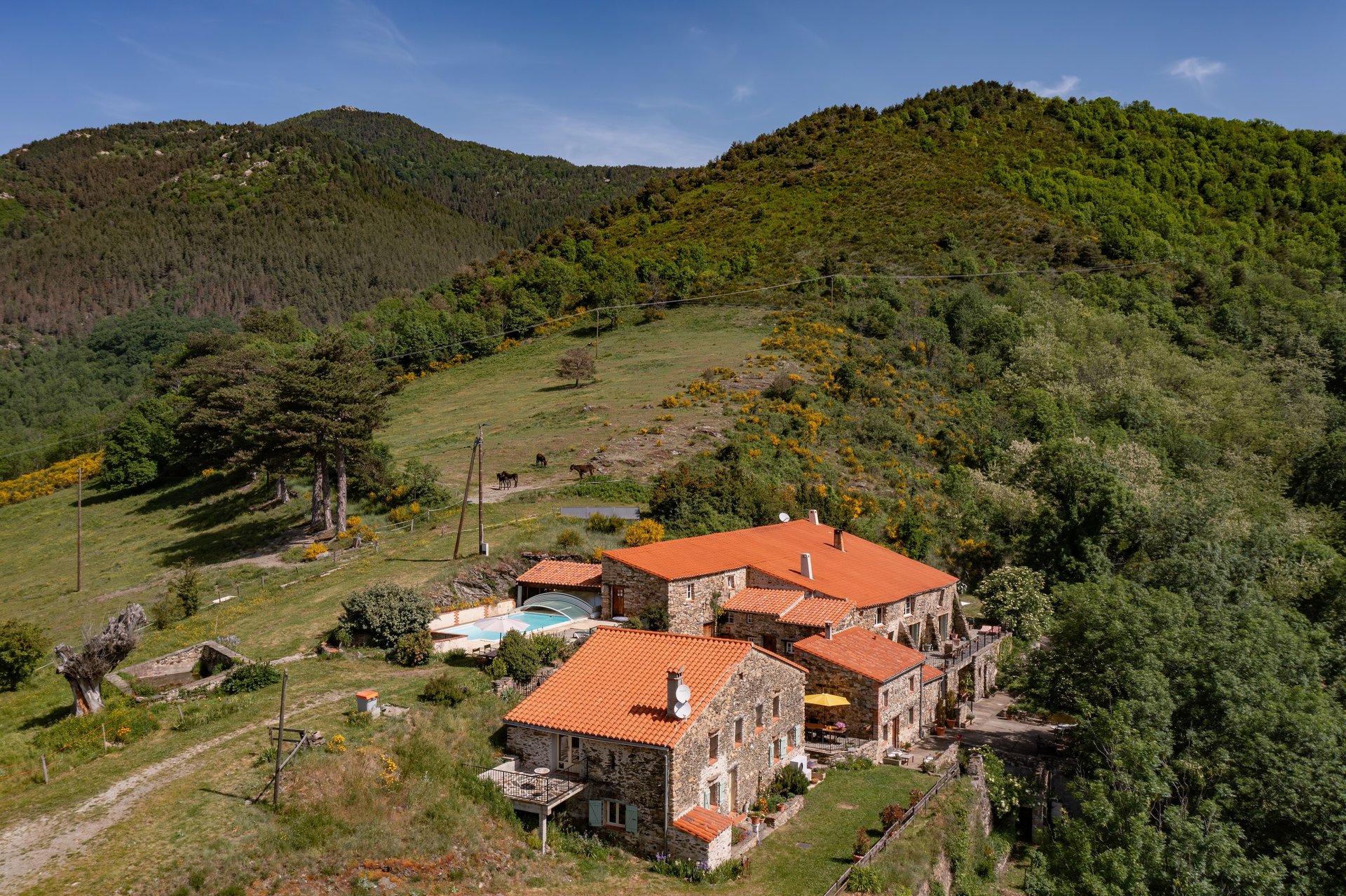 Maison à vendre, 495m², Prats-de-Mollo-la-Preste
