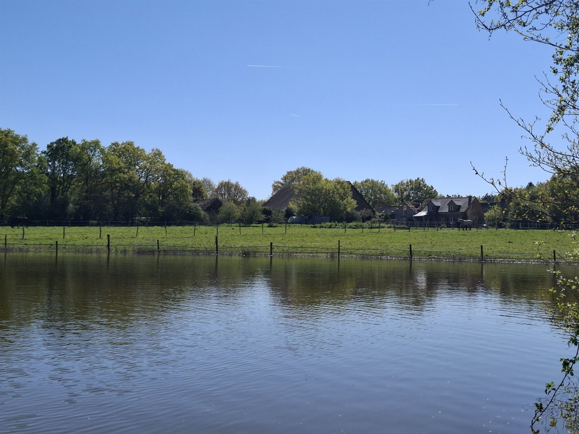 Maison à vendre, 400m², Riaillé
