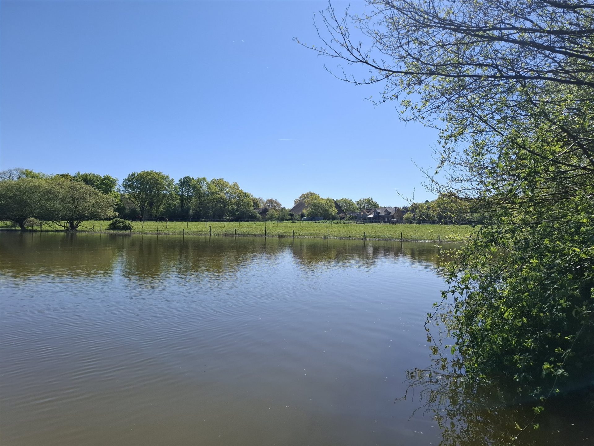 Maison à vendre, 400m², Riaillé
