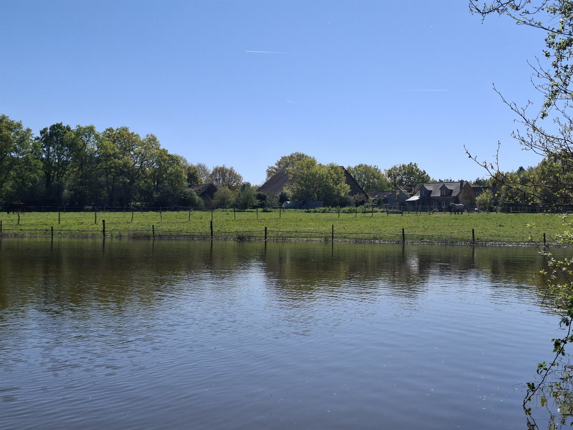Maison à vendre, 400m², Riaillé