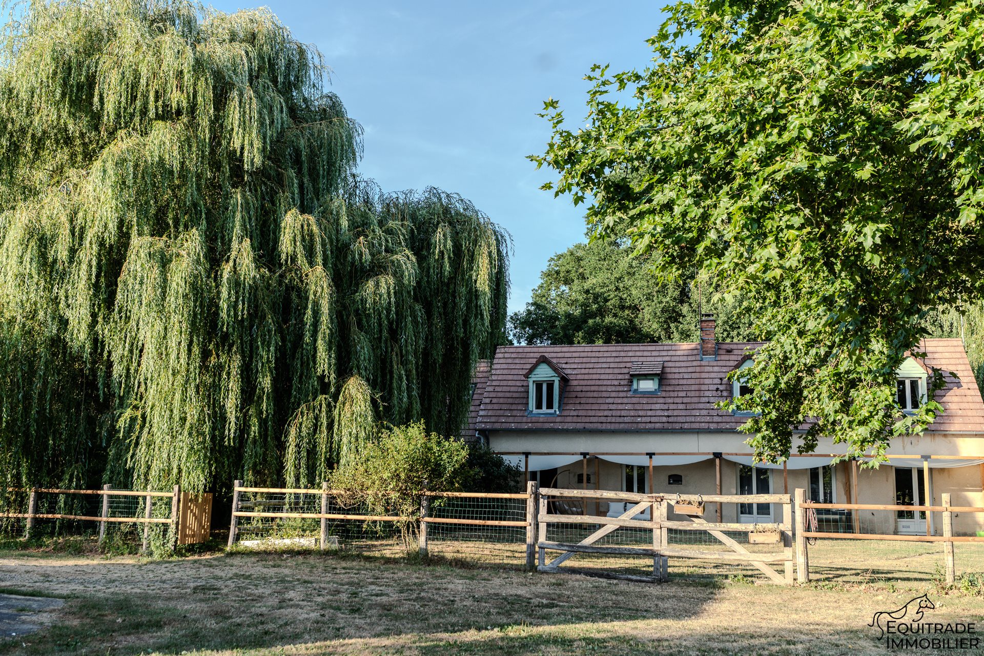 Maison à vendre, 222m², Roézé-sur-Sarthe