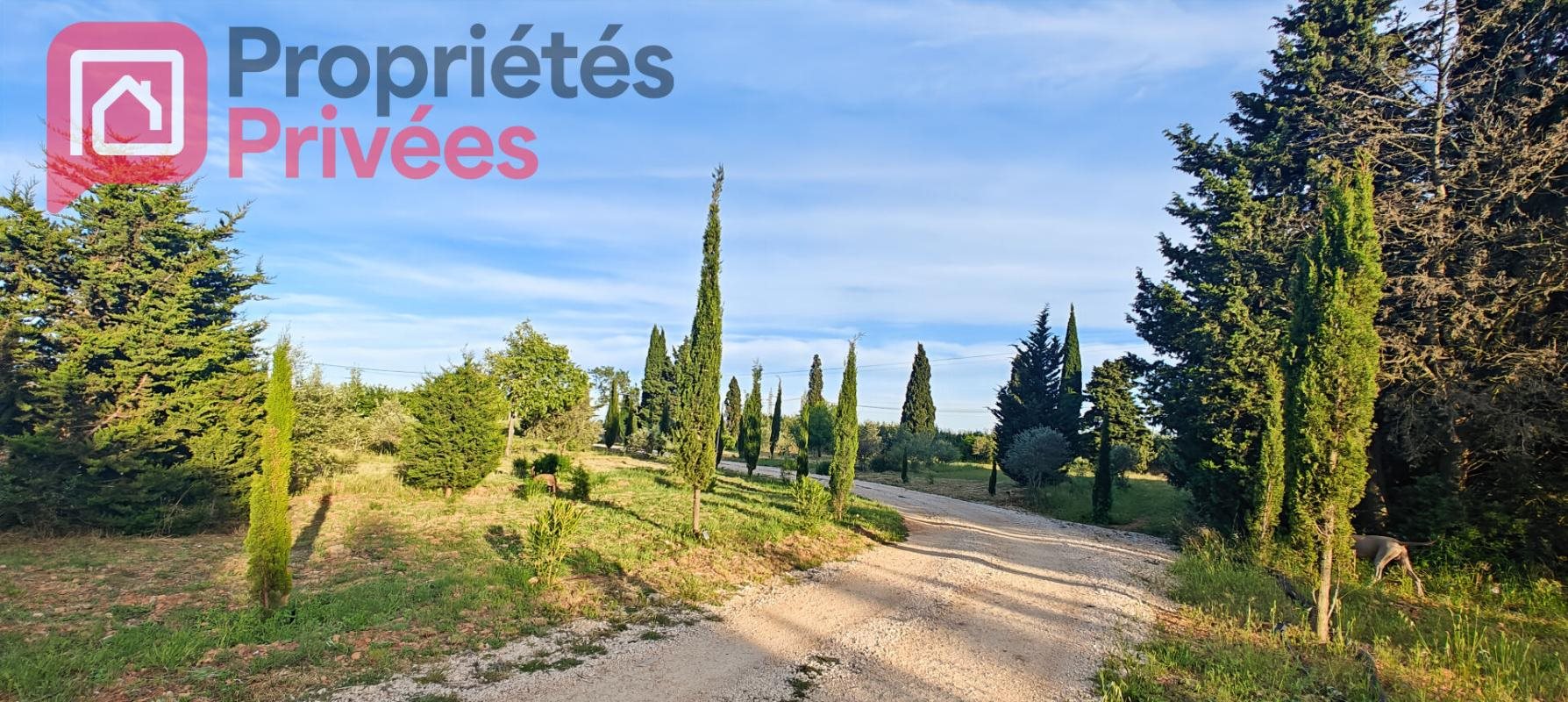 Maison à vendre, 800m², Arles