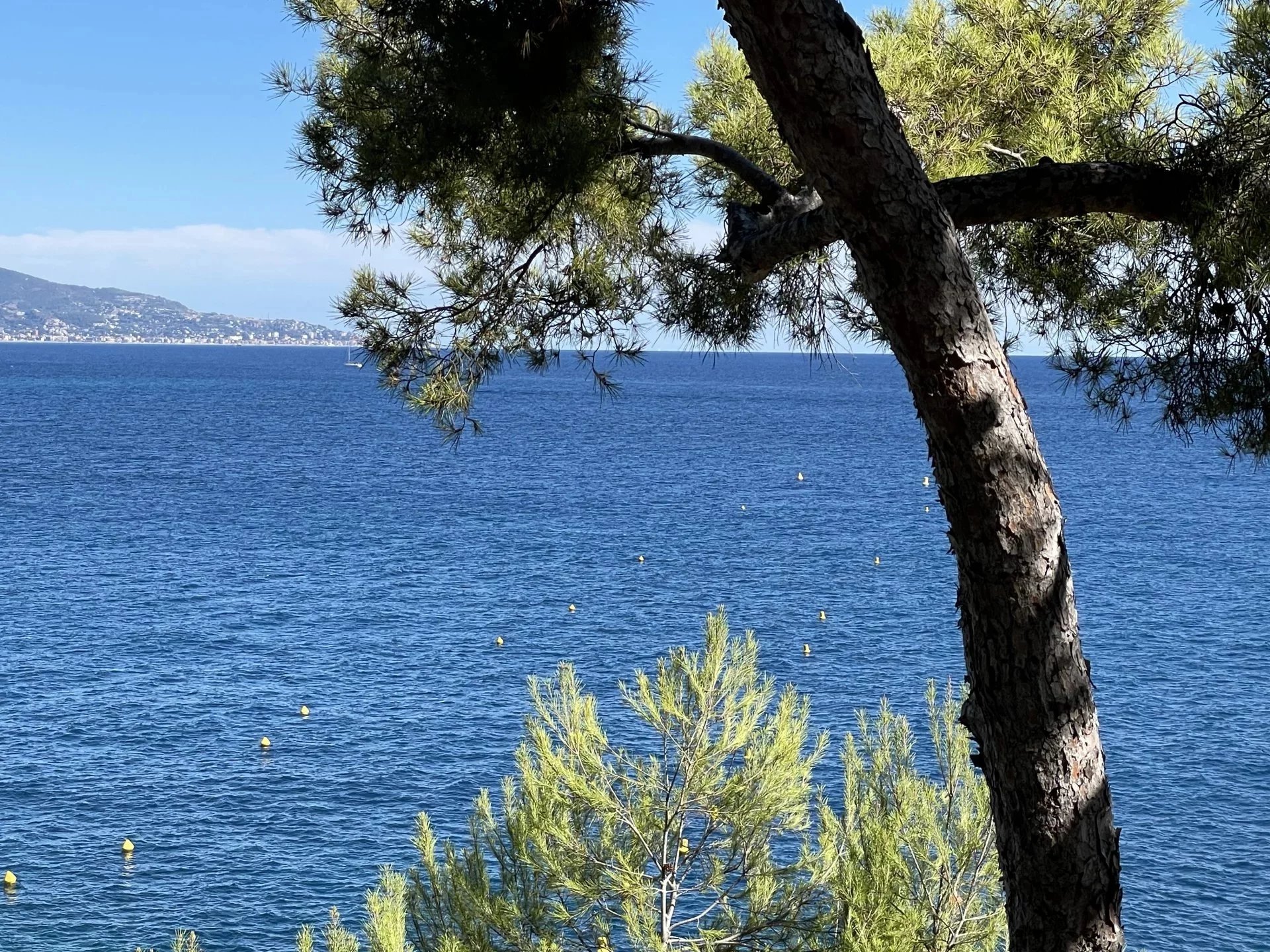 Maison à vendre, 1000m², Roquebrune-Cap-Martin