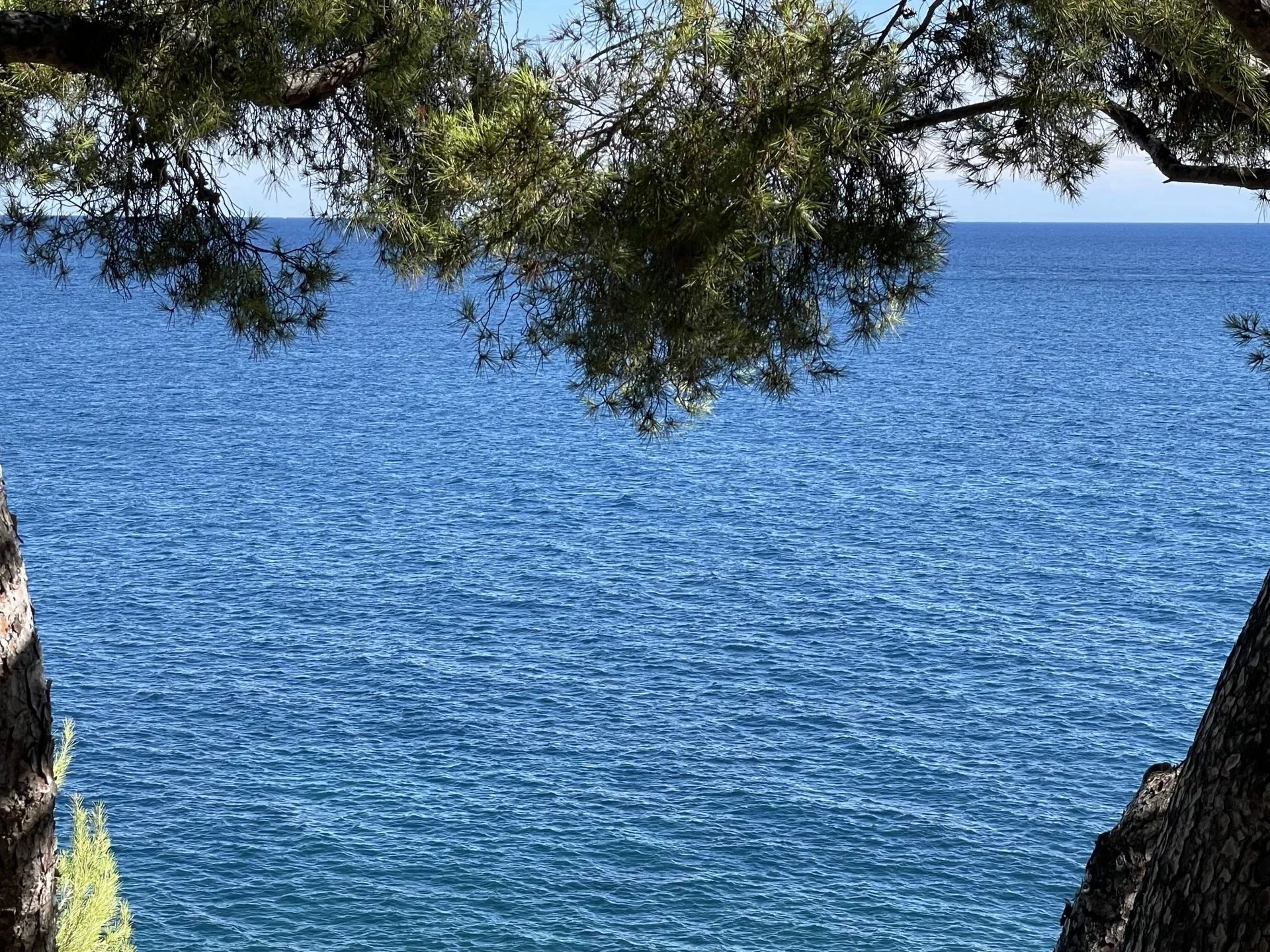 Maison à vendre, 1000m², Roquebrune-Cap-Martin