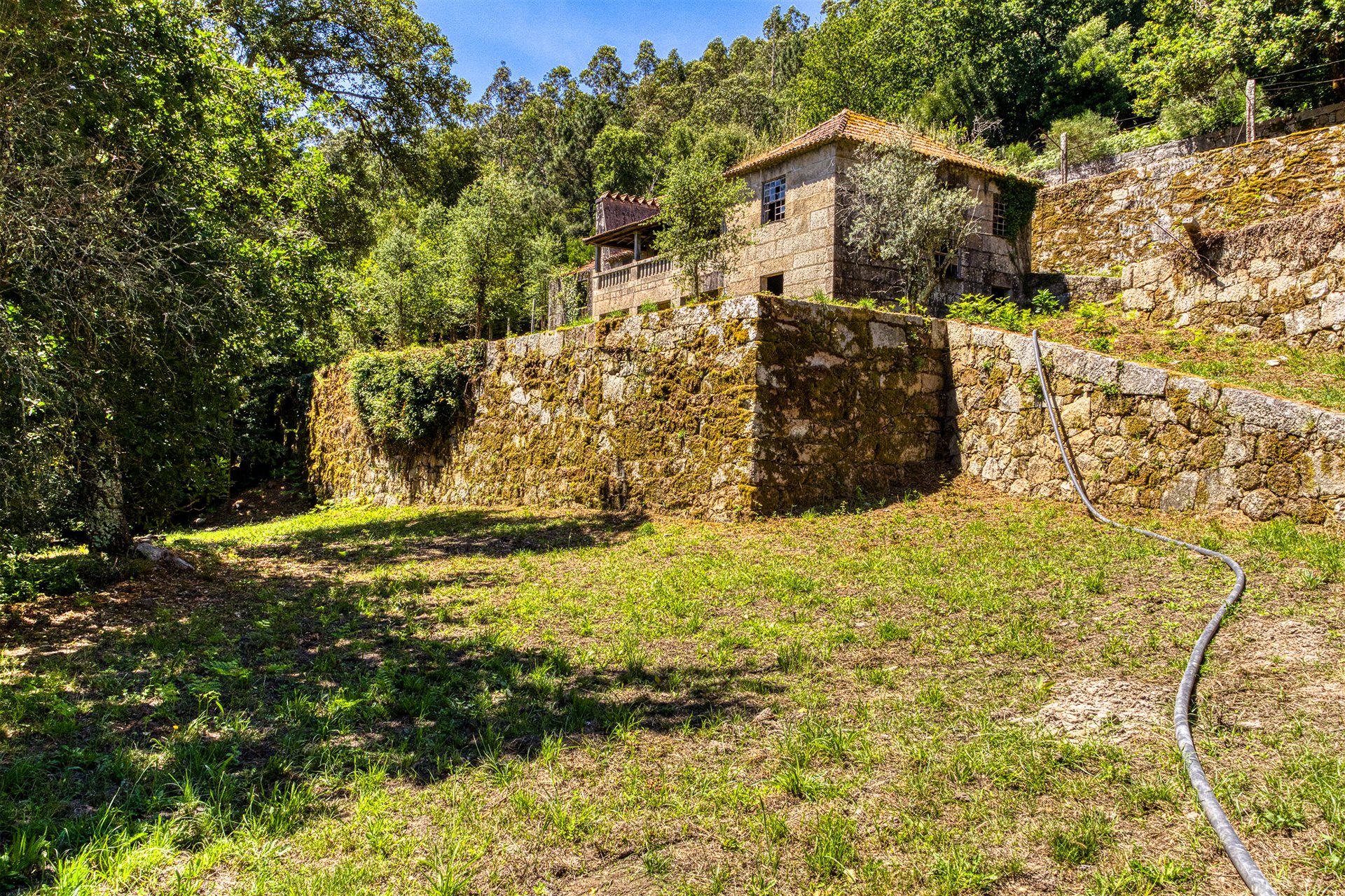 Quinta dans la Vallée du Douro - 2 Maisons en Pierre, 11 Hectares de Terrain