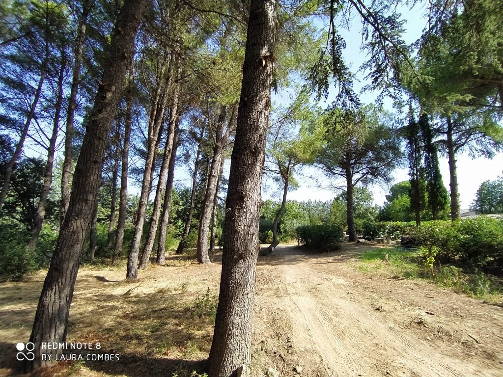 Maison à vendre, 206m², Clermont-l'Hérault