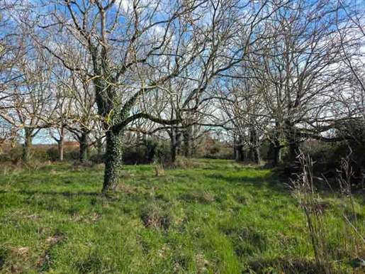 Sauzé-Vaussais 2856m²