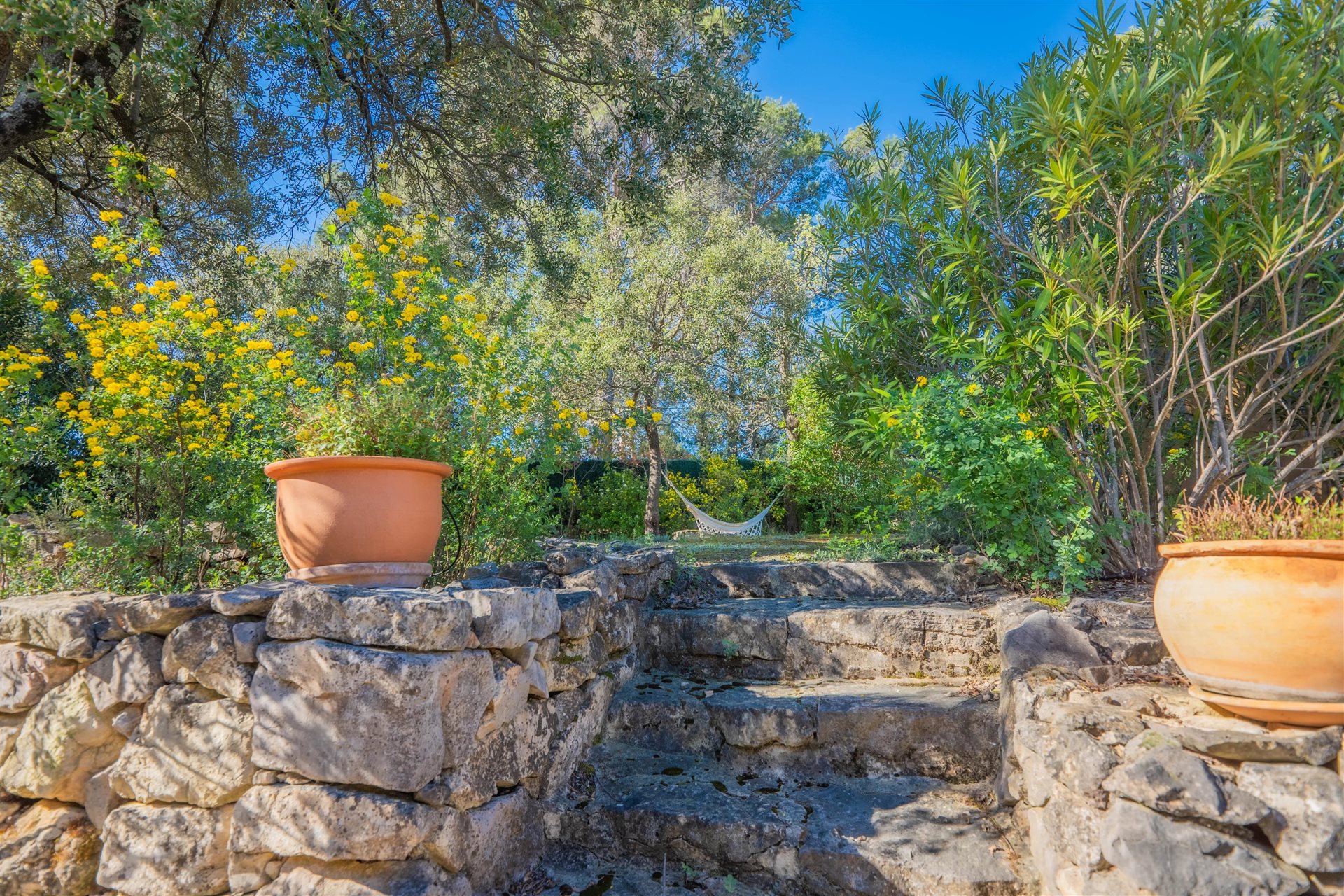 Maison à vendre, 220m², Lorgues