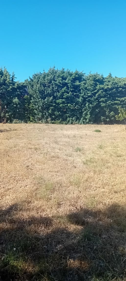Terrain 441 m² · à Perpignan · 120 000 €