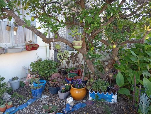Maison 5 pièces 72 m² · à Perpignan · 72 m² · 181 000 €