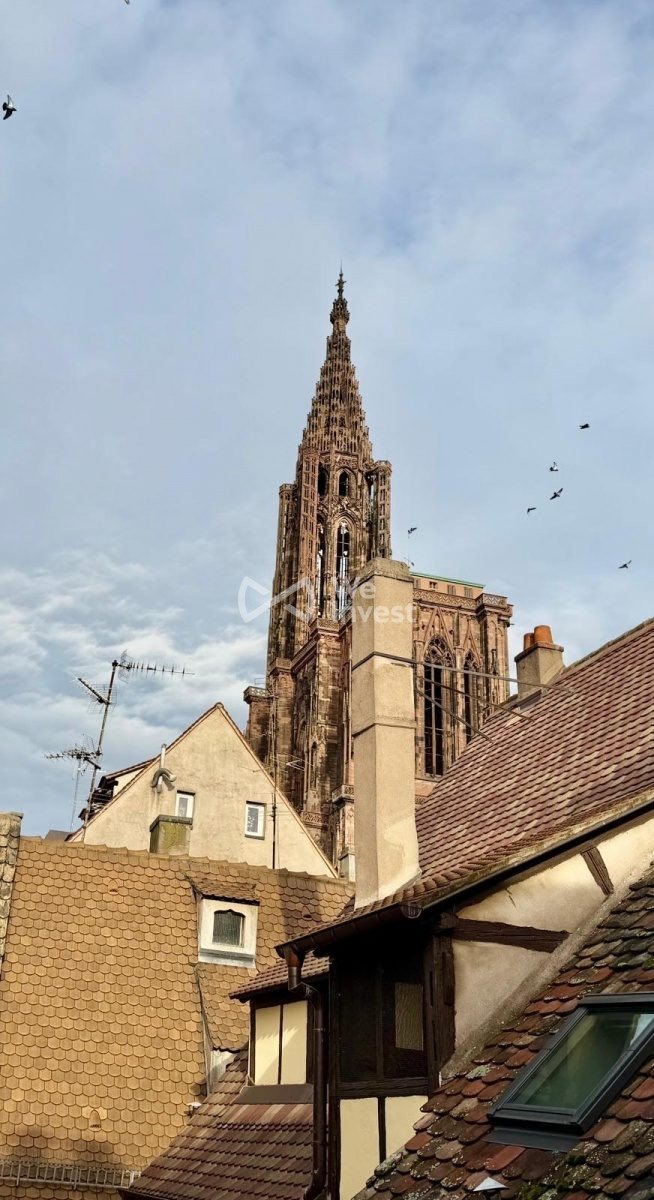 Appartement à vendre, 59m², Strasbourg