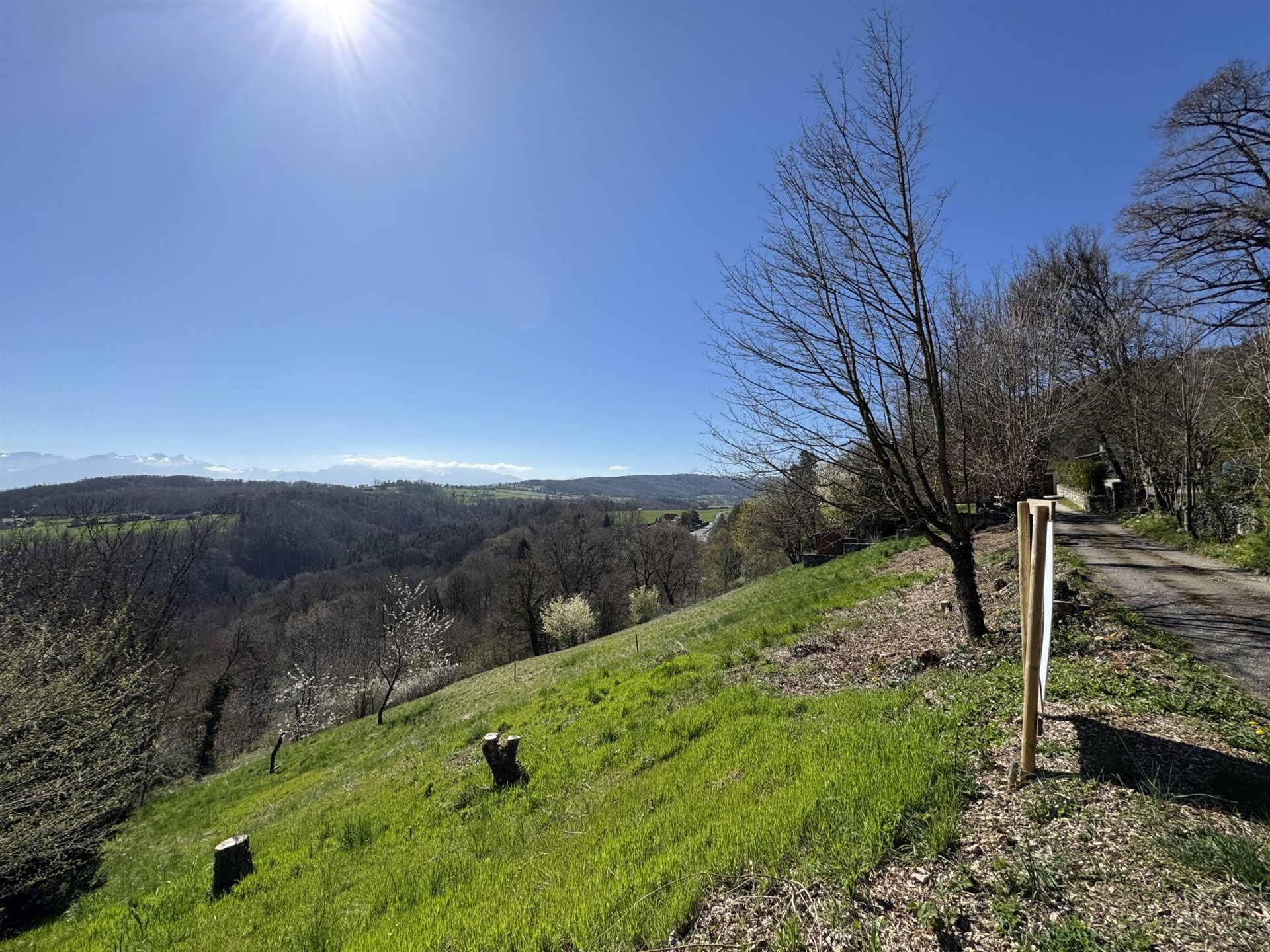 Land for Sale in Monnetier-Mornex - Widok 5