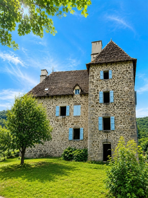 10 pièces 425 m² · à Bassignac · 425 m² · 299 000 €