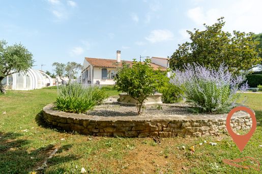 Arles (Bouches-du-Rhône) photo 2