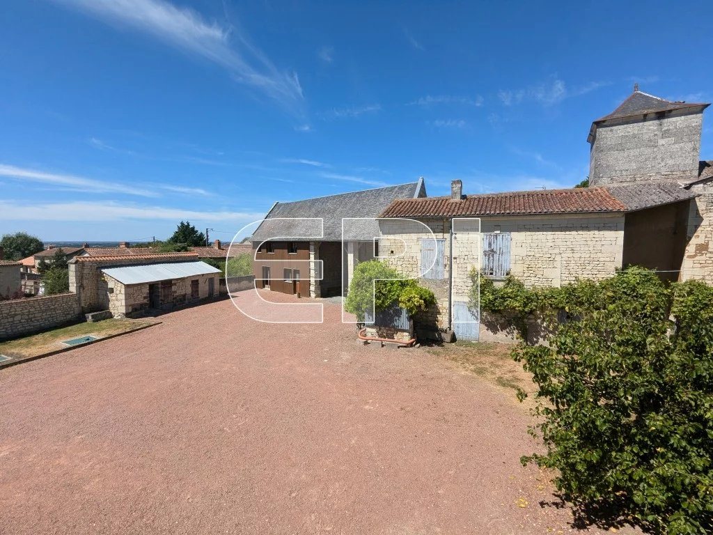 Maison à vendre, 435m², Curçay-sur-Dive