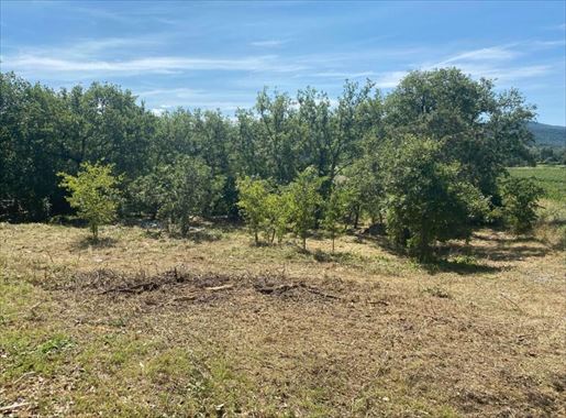 Magnifique terrain constructible · à Saint-Alban-Auriolles · 140 000 €