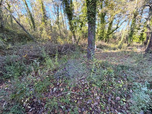 Terrain, terrain 4035 m² — Callian (Var) · 59 000 €