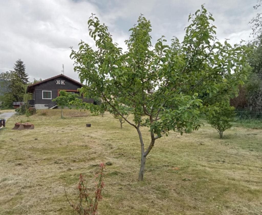 Purchase: Land (74130), Contamine-sur-Arve