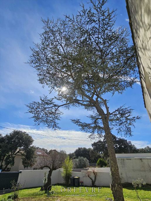 Terrain 2 pièces 518 m² · à Castelnau-le-lez · 518 m² · 450 000 €