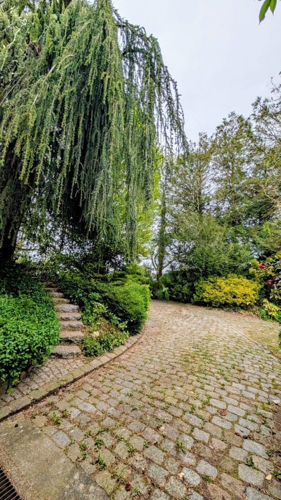 Maison à vendre, 184m², Hillion