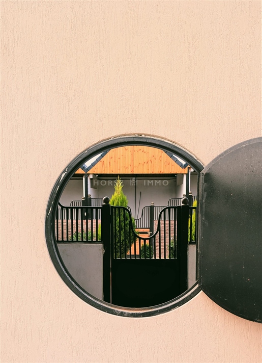 Advert pic 0