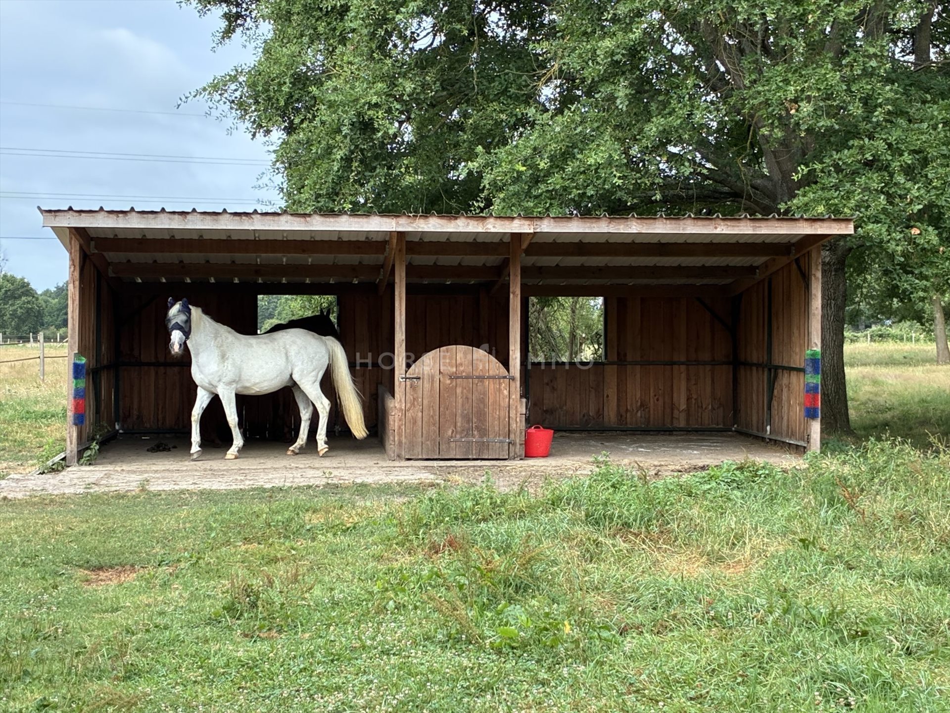 Maison à vendre, 250m², Roézé-sur-Sarthe