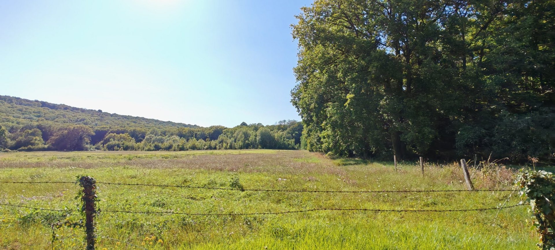 Maison à vendre, 287m², Saint-Martin-d'Ablois