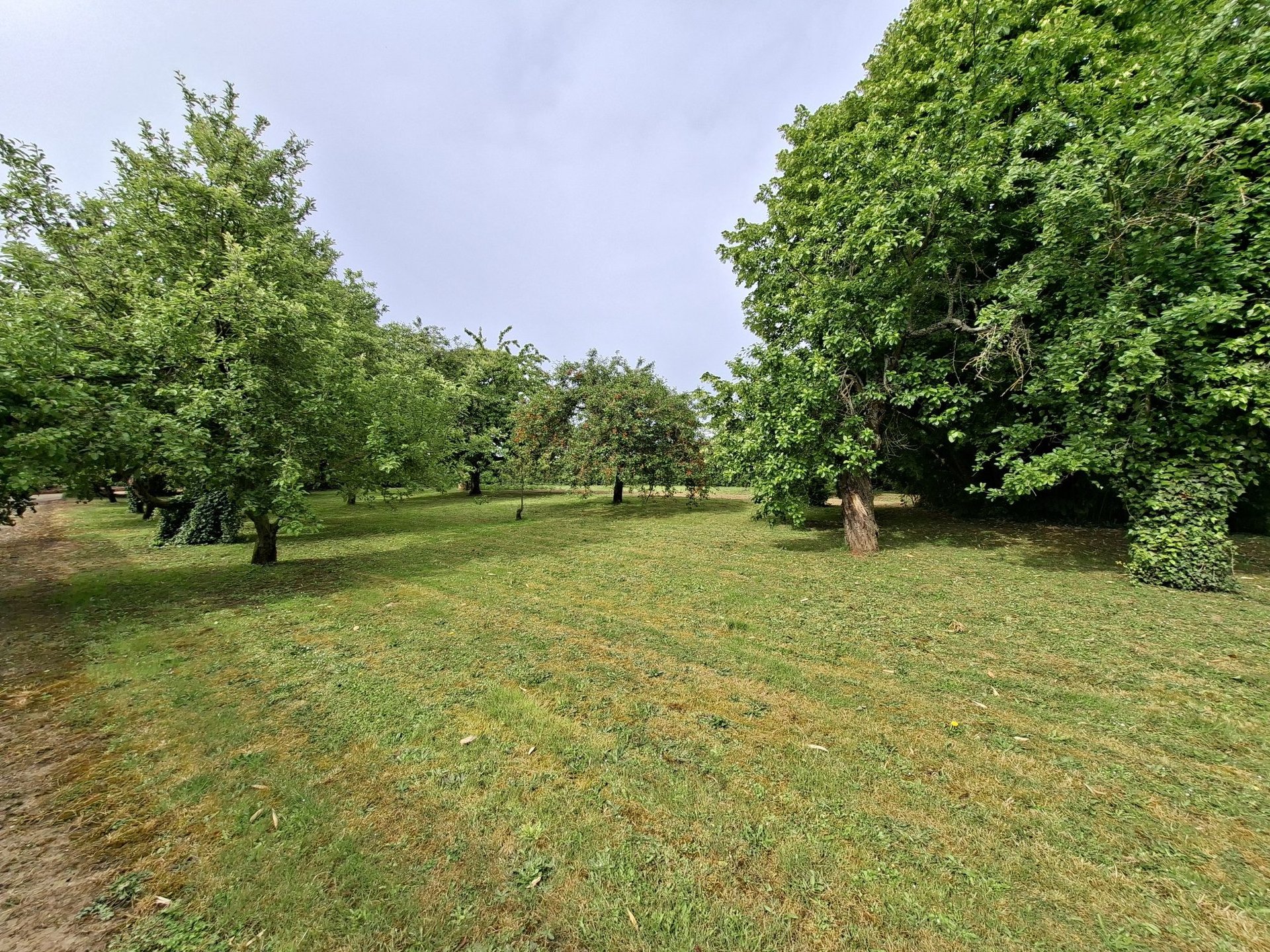 Maison à vendre, 110m², Crêches-sur-Saône