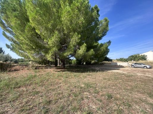 Annonce · à Paulhan · 1 500 m² · 329 000 €