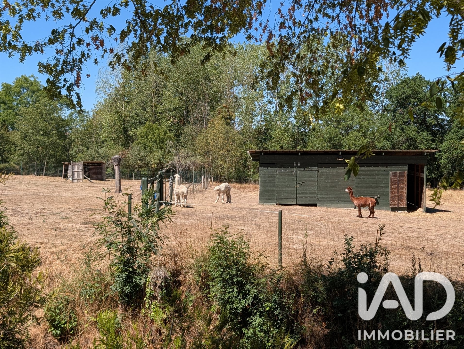 Maison à vendre, 407m², Saint-Dizier-les-Domaines