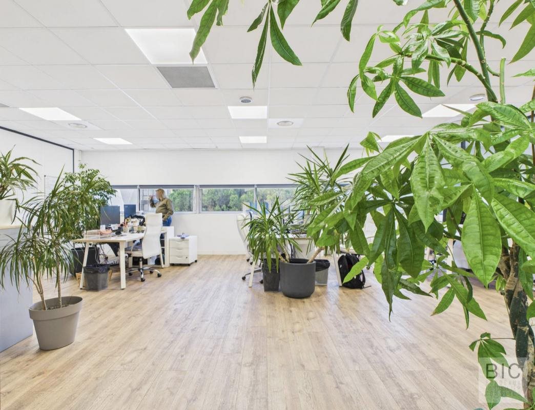 Purchase: Business premises (33300) - Vue 2