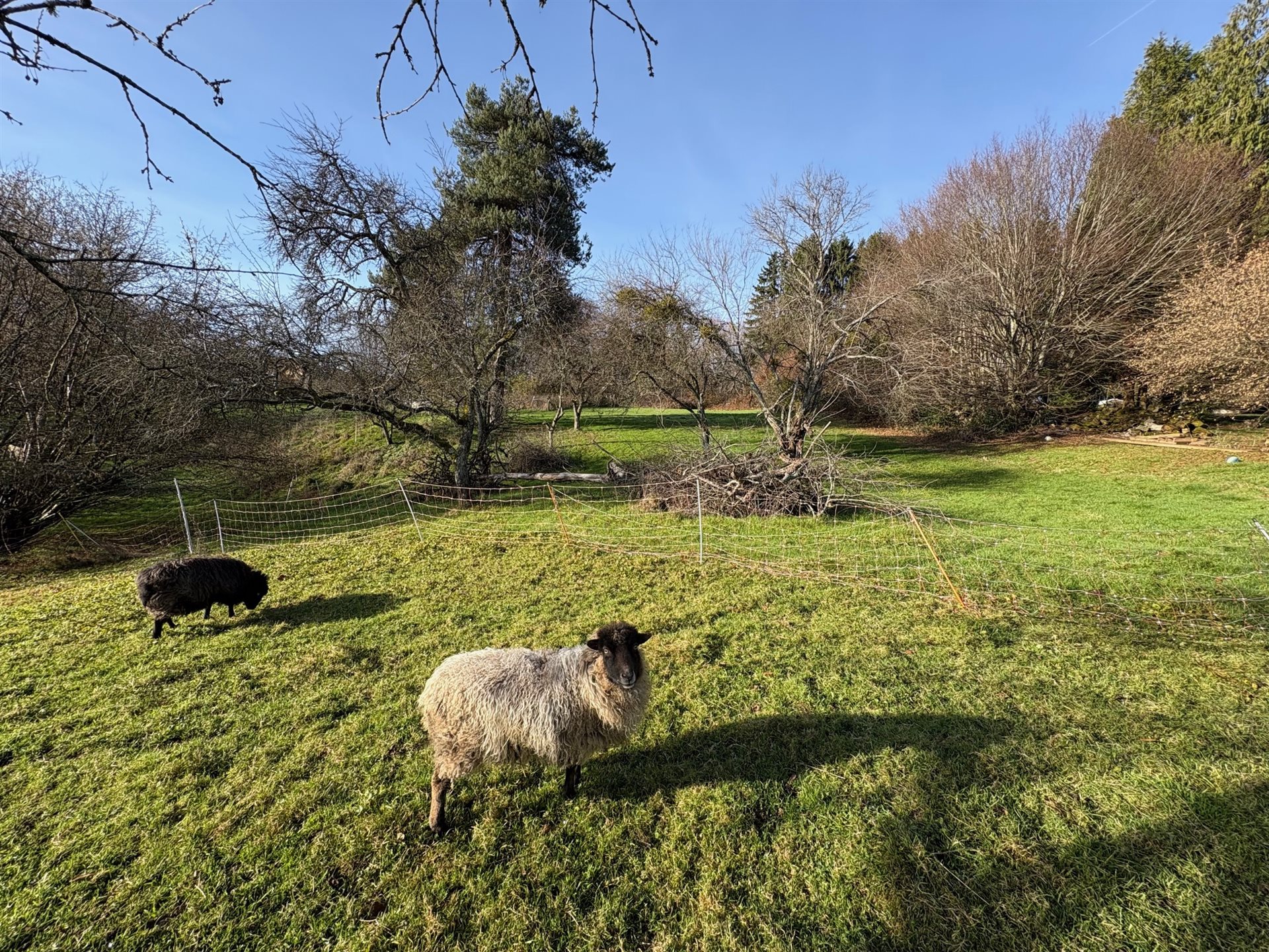 Maison à vendre, 96m², Lomont