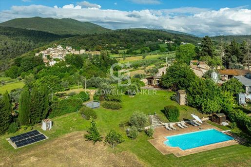 Calvi dell'Umbria (Terni)