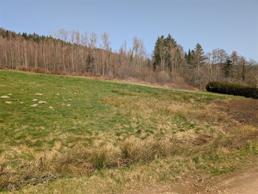 Advert pic 0