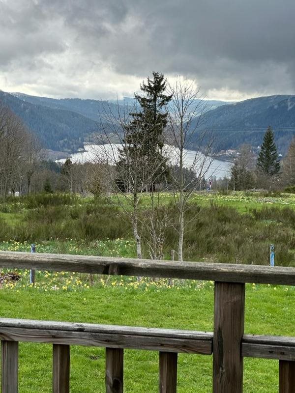 Appartement à vendre, 49m², Gérardmer