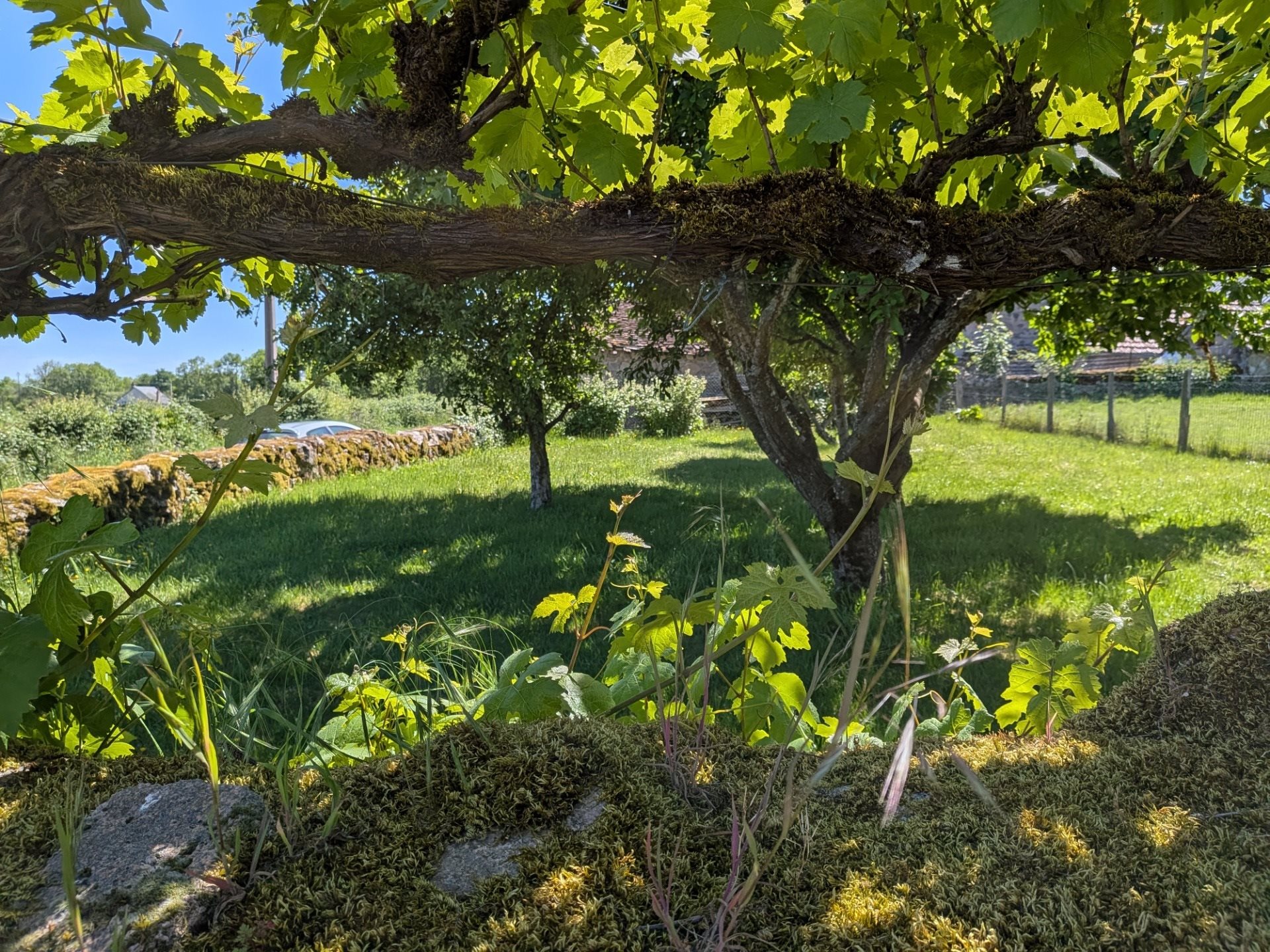 Maison à vendre, 300m², Saulieu
