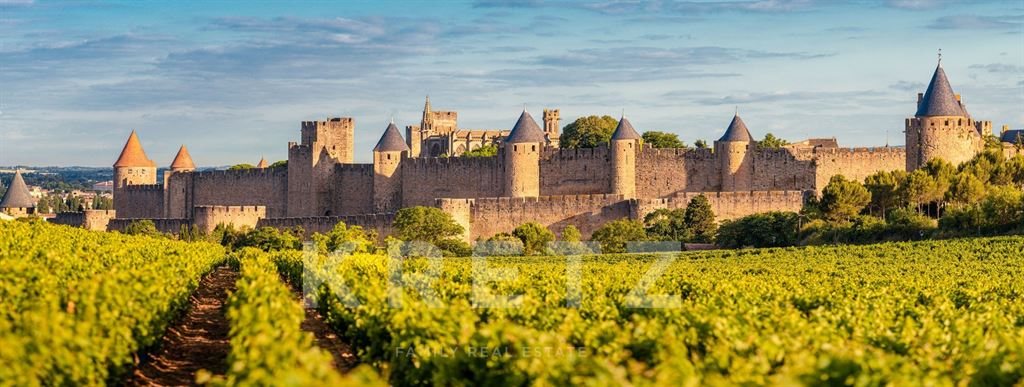 Maison à vendre, 500m², Carcassonne