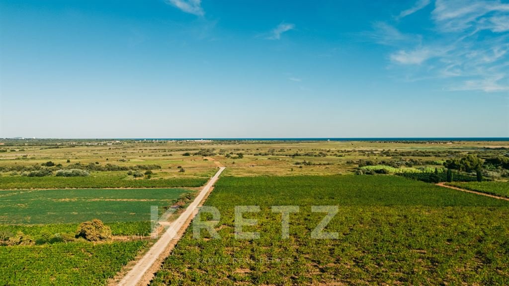 Maison à vendre, 1500m², Gruissan