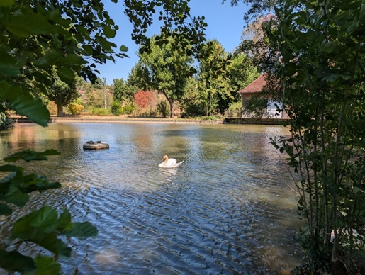 11 pièces 345 m² · à La Clayette · 345 m² · 495 000 €
