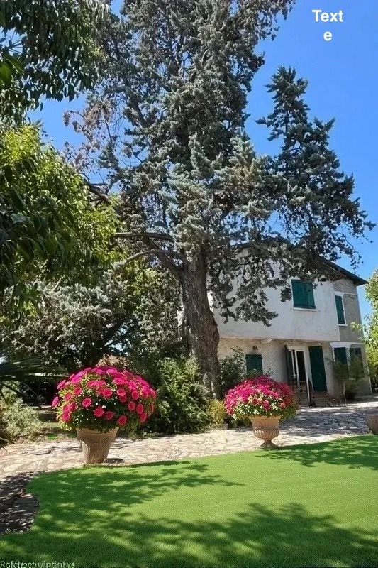 Maison à vendre, 220m², Cugnaux