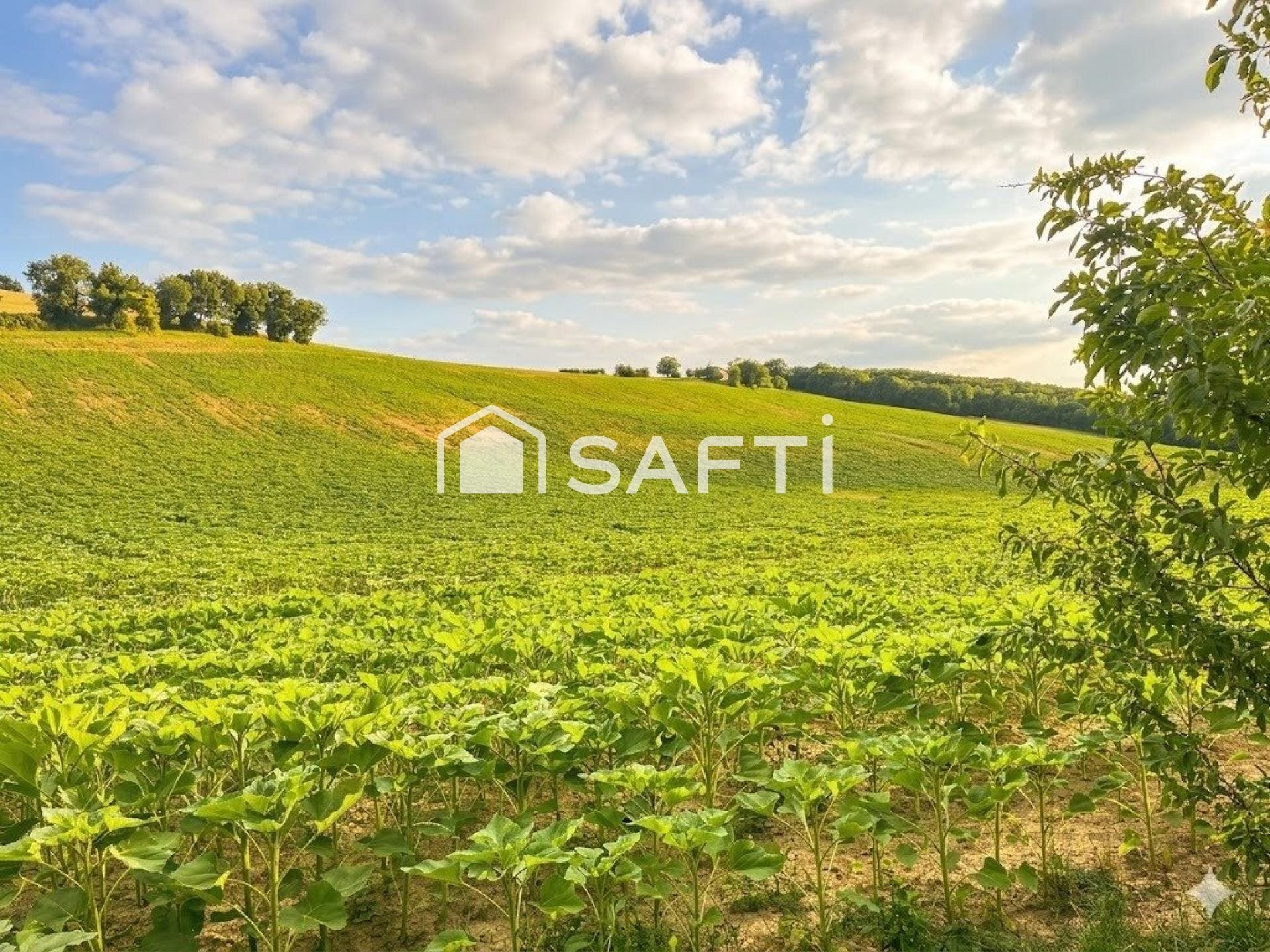 Maison à vendre, 596m², Rabastens
