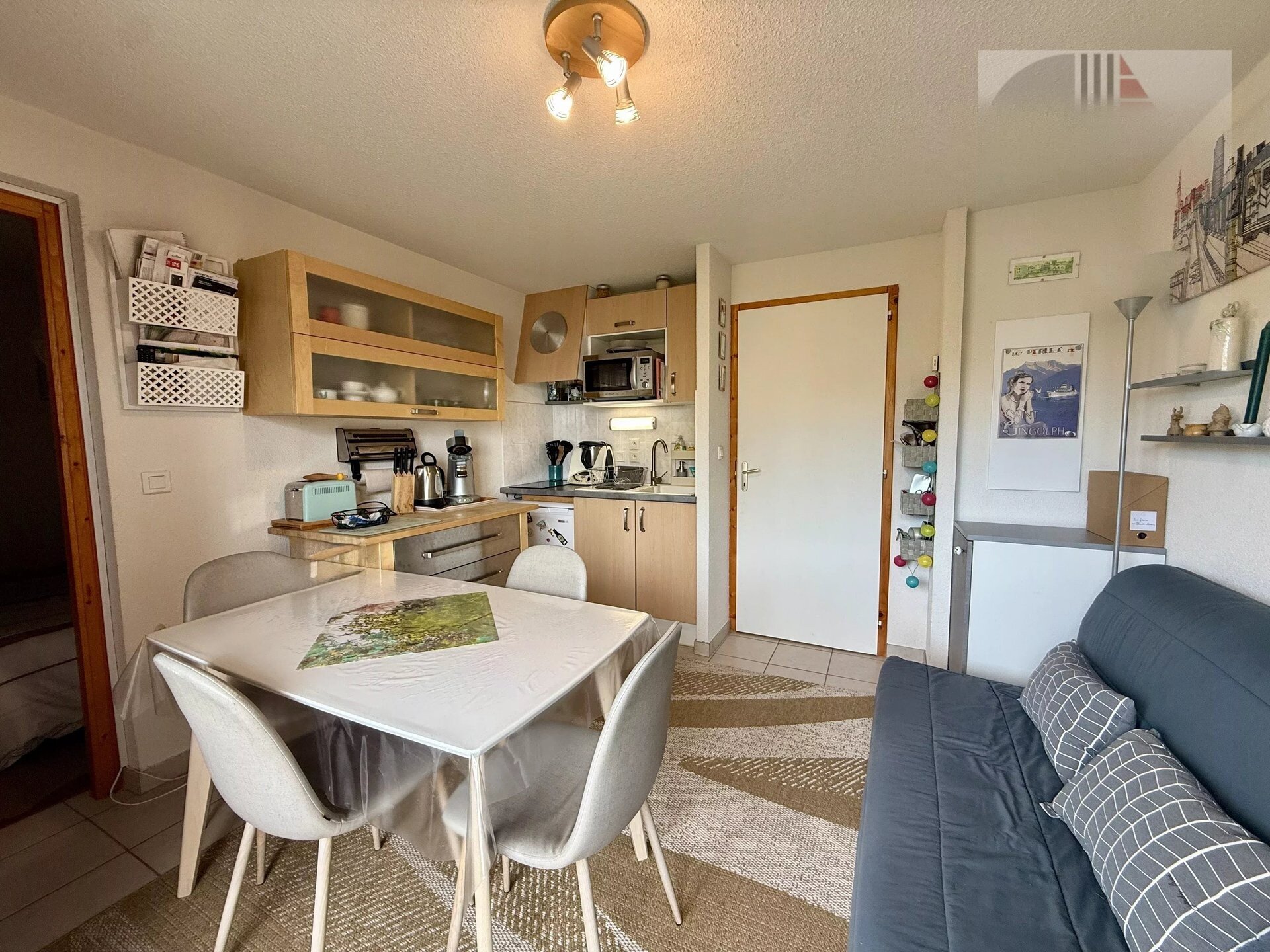 Appartement à vendre, 26m², Thollon-les-Mémises