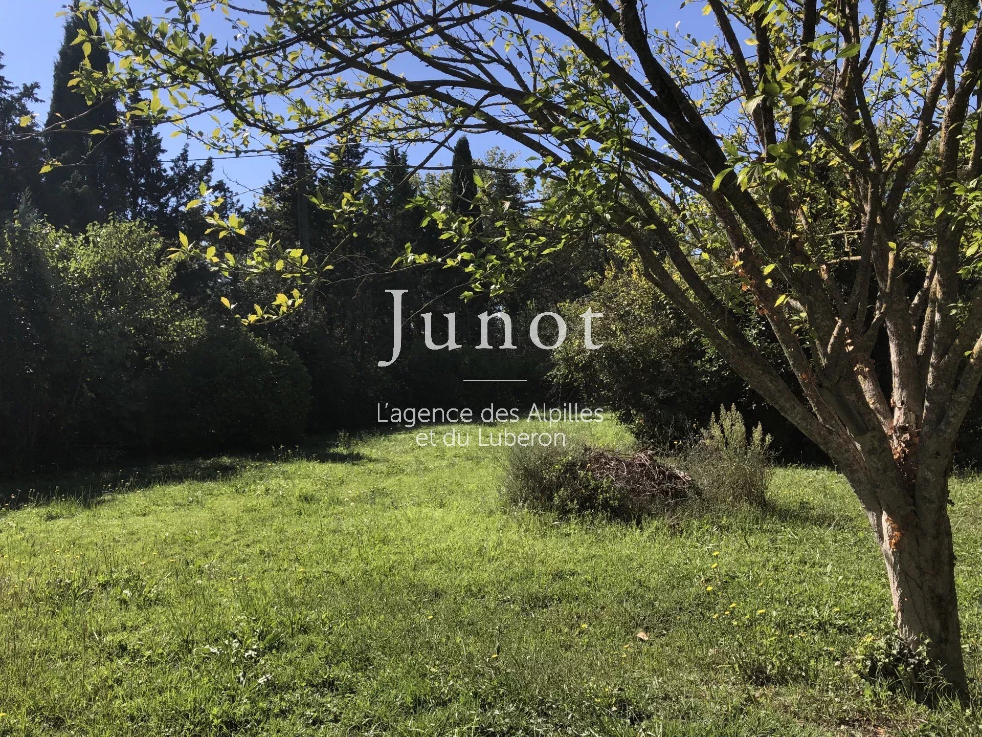 Maison à vendre, 80m², Saint-Rémy-de-Provence