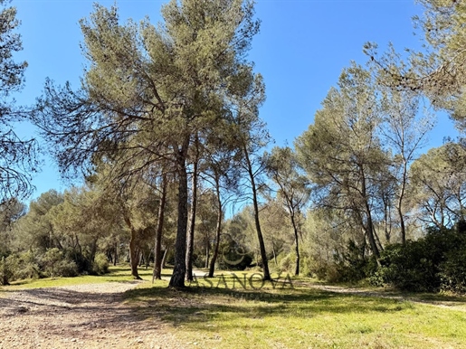 Terrain boisé non constructible à vendre Montferrier-sur-Lez 7 355 m² en zone naturelle protégée, ca · 87 000 €